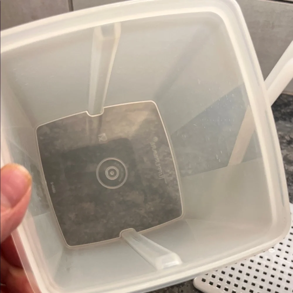 Airtight Storage Container with Blue Lid